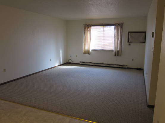 Birchview Apartments  picture 3
