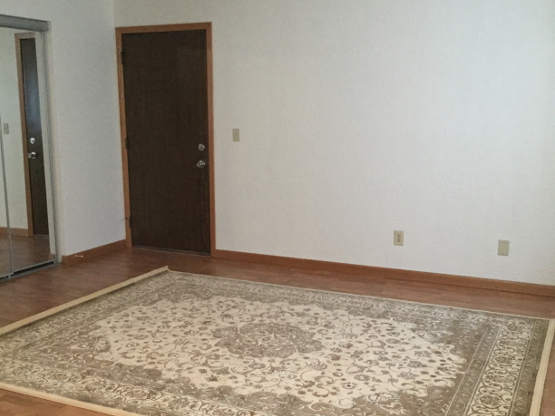 Owatonna 4 Plex picture 1
